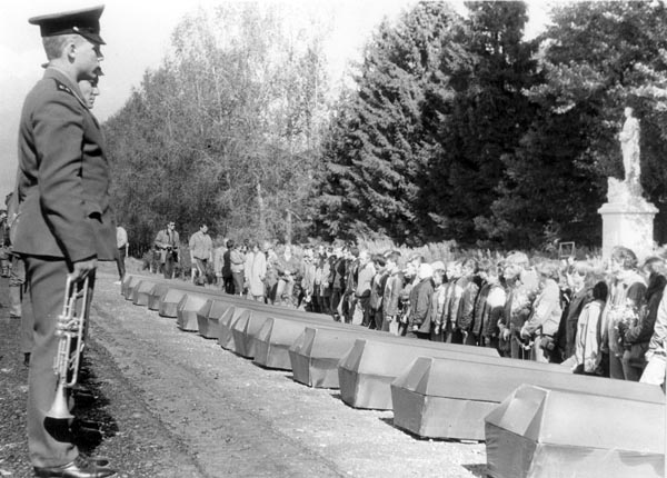 Новгородская область. 1987 год. Фото Р.Салахиева.