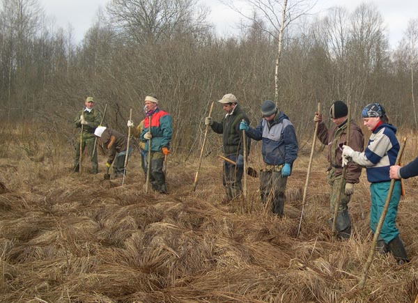 Поиск на поляне «Подкова» продолжается с 1988 года. Новгородская область. Май 2005 год. Фото Г.Трошиной.
