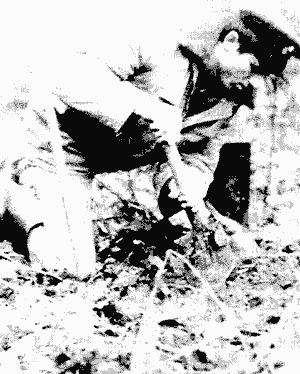 На местах смоленских боев