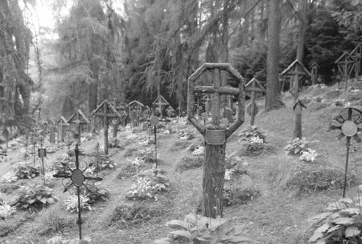 Экспедиция "Тирольская память - помним всех" Экспедиция "Тирольская память - помним всех"