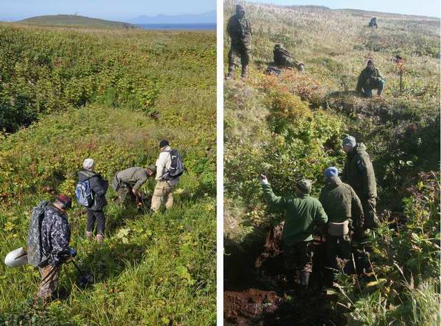 Поисковая экспедиция на остров Шумшу. Сентябрь 2014 г. Поисковая экспедиция на остров Шумшу. Сентябрь 2014 г.