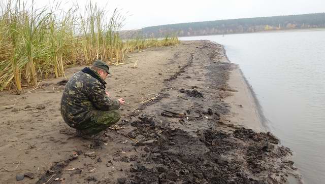 В Спасском районе поисковики Татарстана обнаружили останки жертв Гражданской войны. 2014 г. В Спасском районе поисковики Татарстана обнаружили останки жертв Гражданской войны. 2014 г.