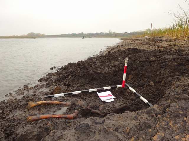 В Спасском районе поисковики Татарстана обнаружили останки жертв Гражданской войны. 2014 г. В Спасском районе поисковики Татарстана обнаружили останки жертв Гражданской войны. 2014 г.