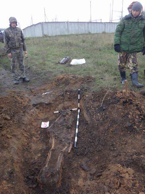 РОМО «Объединение «Отечество» Республики Татарстан. «Вахта Примирения и Согласия». 2016. РОМО «Объединение «Отечество» Республики Татарстан. «Вахта Примирения и Согласия». 2016.