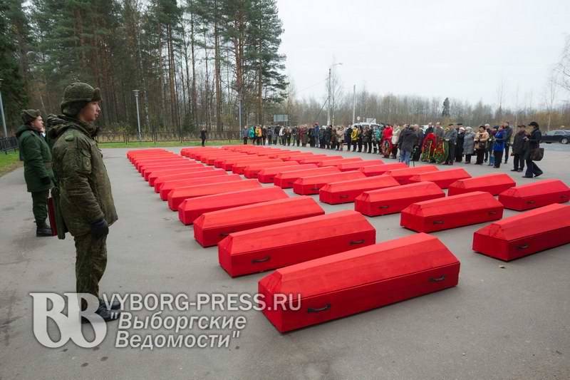 г.Выборг. Захоронение 21.10.2016 г. г.Выборг. Захоронение 21.10.2016 г.
