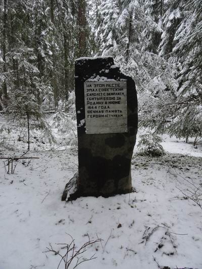 Местными историками-краеведами на местах падения самолетов установлены памятные знаки. Крупский район Минской области. 2017 г. Местными историками-краеведами на местах падения самолетов установлены памятные знаки. Крупский район Минской области. 2017 г.