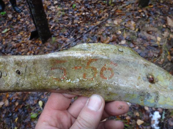 -     . 27-29  2017 .