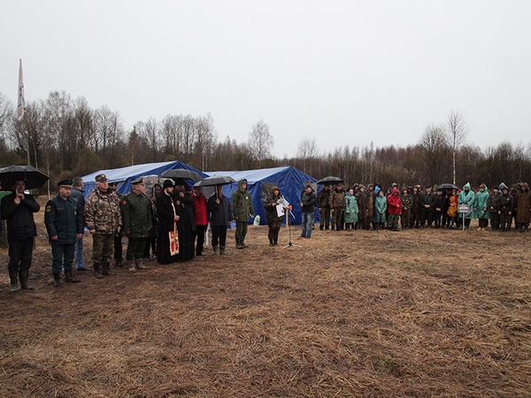     2017.  ,  ,  . (      )