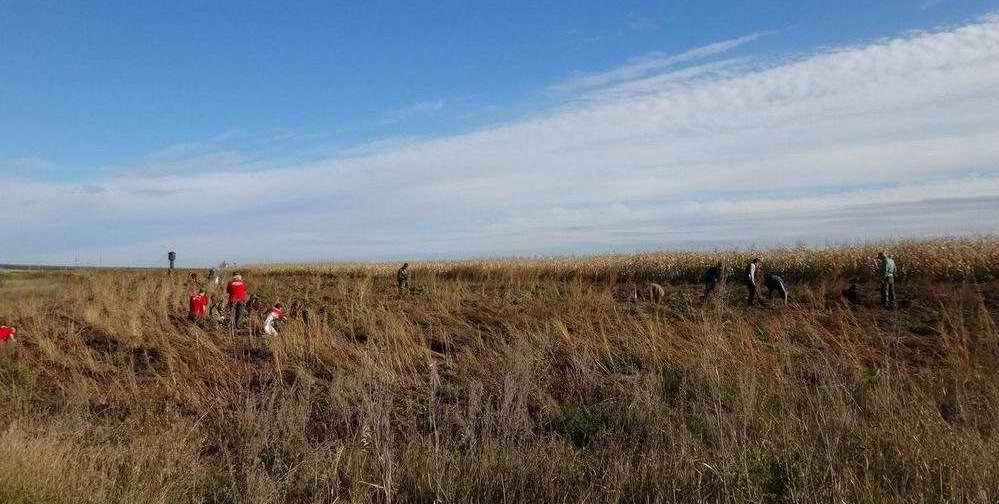 РОМО «Объединение «Отечество» Республики Татарстан.
«Вахта Примирения и Согласия» по следам Гражданской войны 1918-1921 гг. Татарстан. 2018 г. РОМО «Объединение «Отечество» Республики Татарстан. XVIII республиканский фестиваль поисковых отрядов РТ. 2018 г.
«Вахта Примирения и Согласия» по следам Гражданской войны 1918-1921 гг. Татарстан. 2018 г.