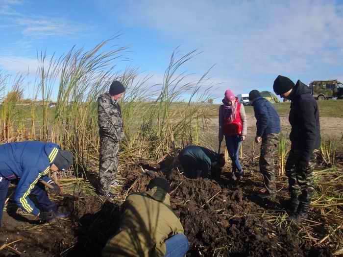     . XVIII   
  . 2018 .         1918-
1921 . . 2018 .