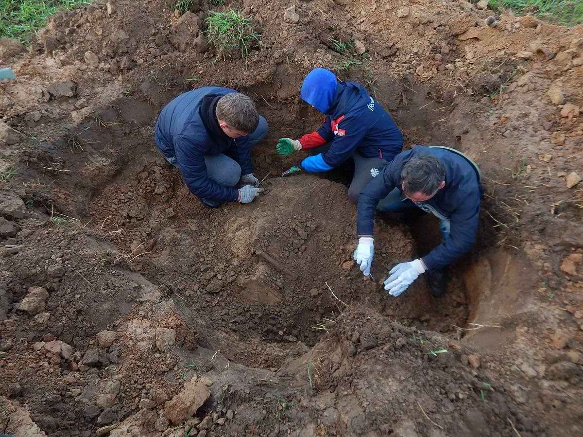 ����� ������ ������� ������. ������ ��������.