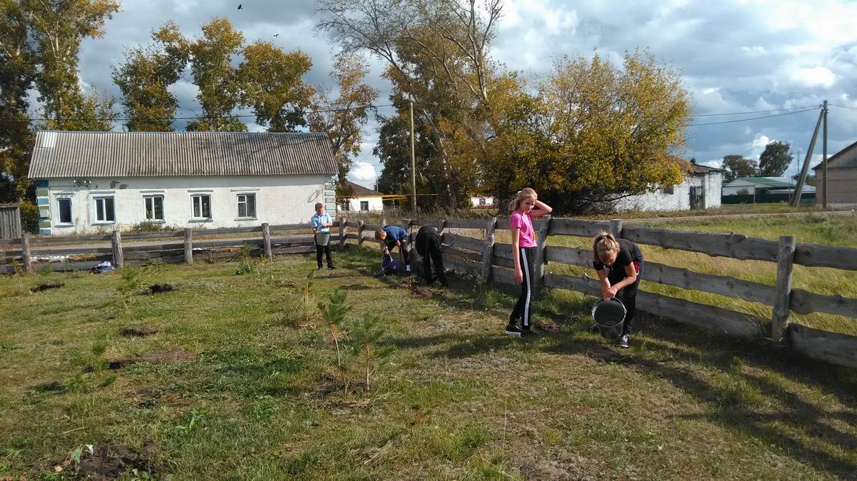 Акция «Посади дерево ветерану» в Спасском районе Республики Татарстан. 2019 г. Акция «Посади дерево ветерану» в Спасском районе Республики Татарстан. 2019 г.