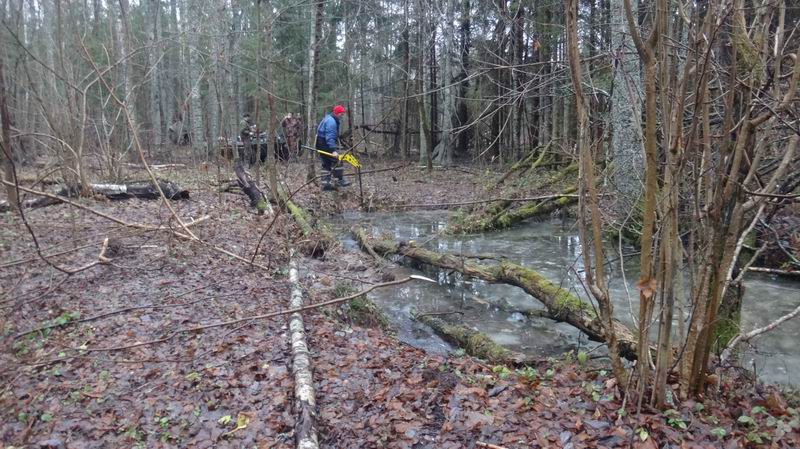  .  .        . 2019 .