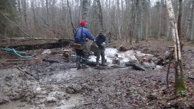  .  .        . 2019 .