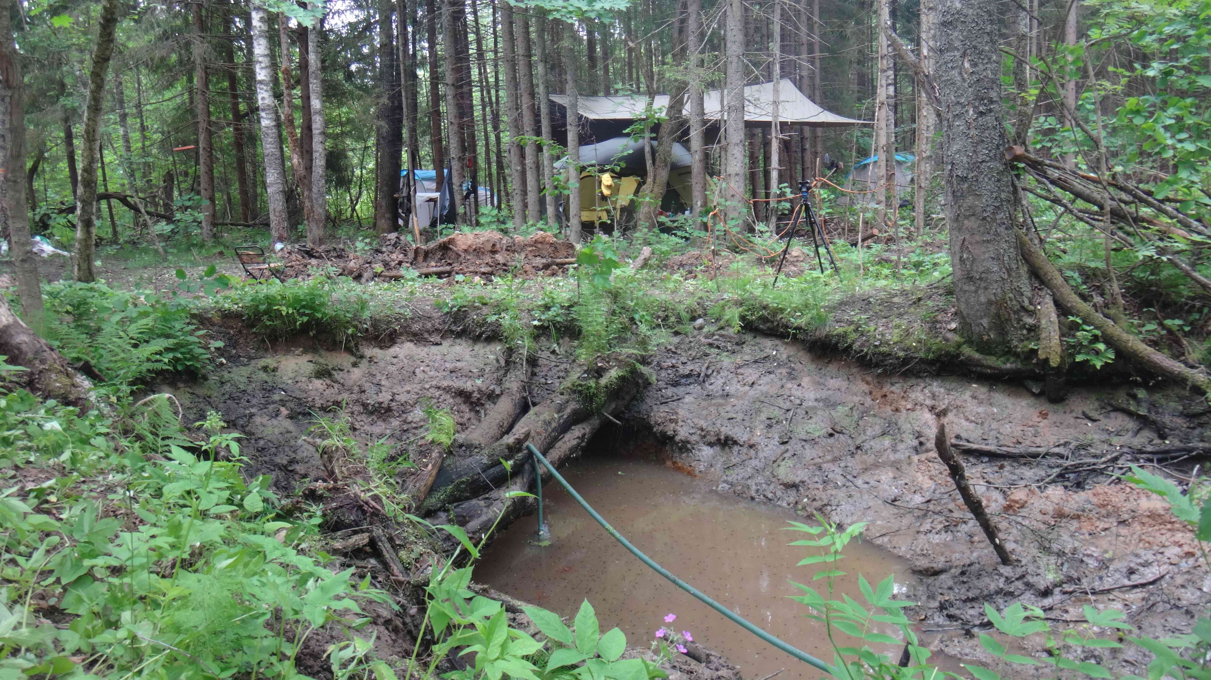  .  .        . 2020 .