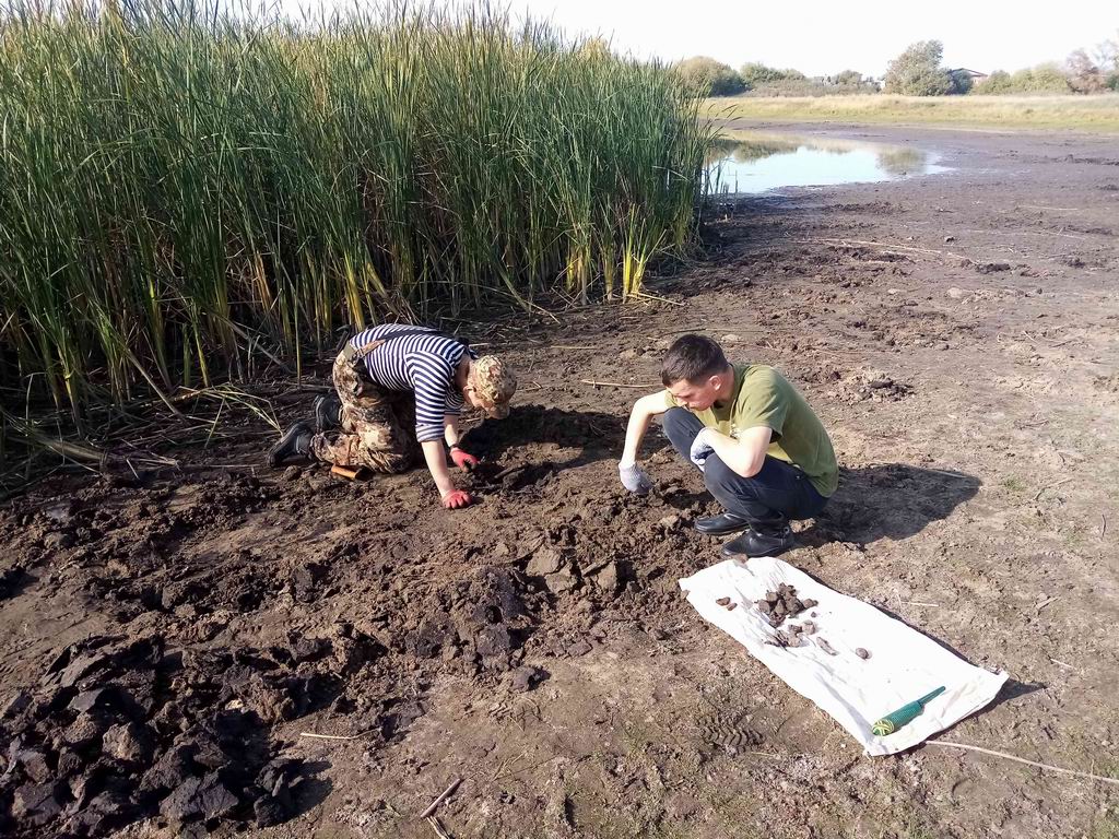         1918-1921 . . 2020 .