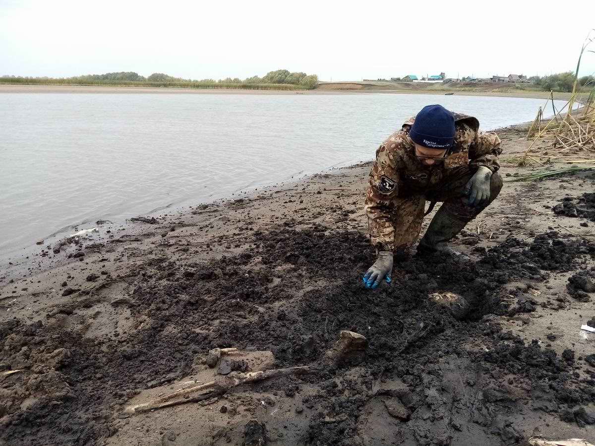    ,      19181921 . . 2021 .