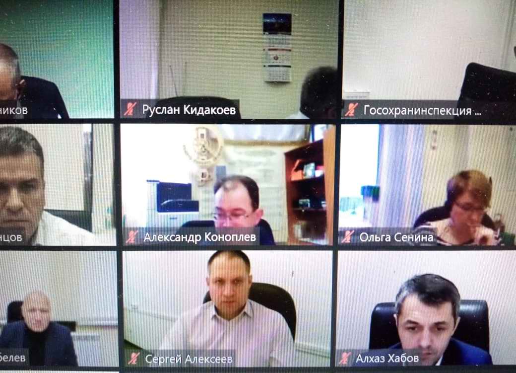  -          2021-2024 . .. 2021 .