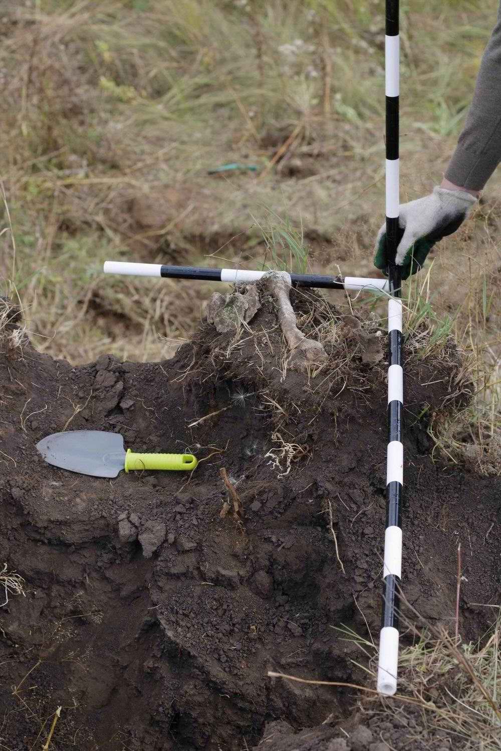    ,      19181921 . . 2022 .