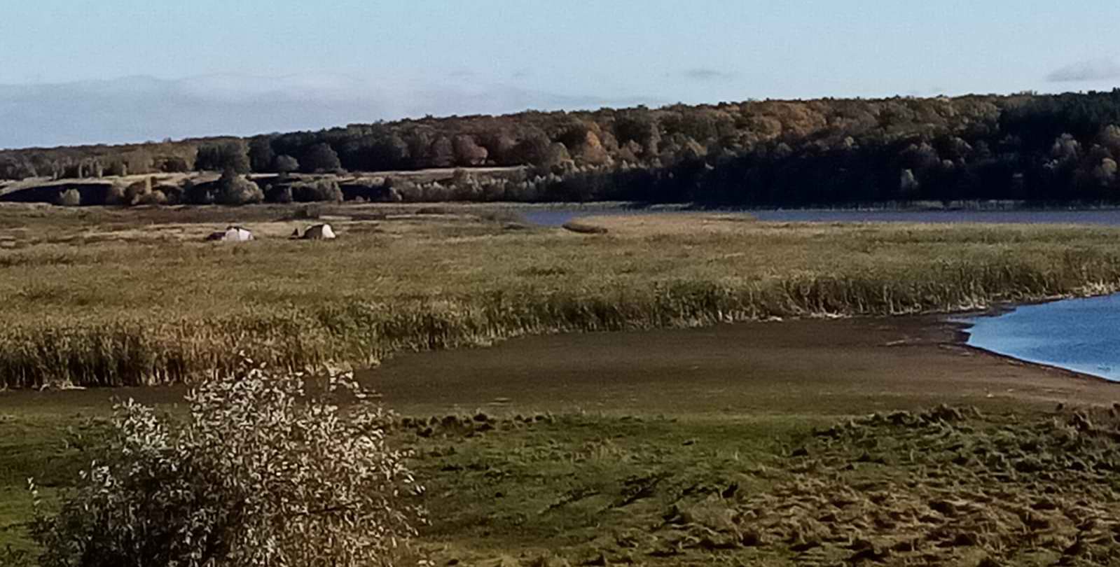    ,      19181921 . . 2022 .