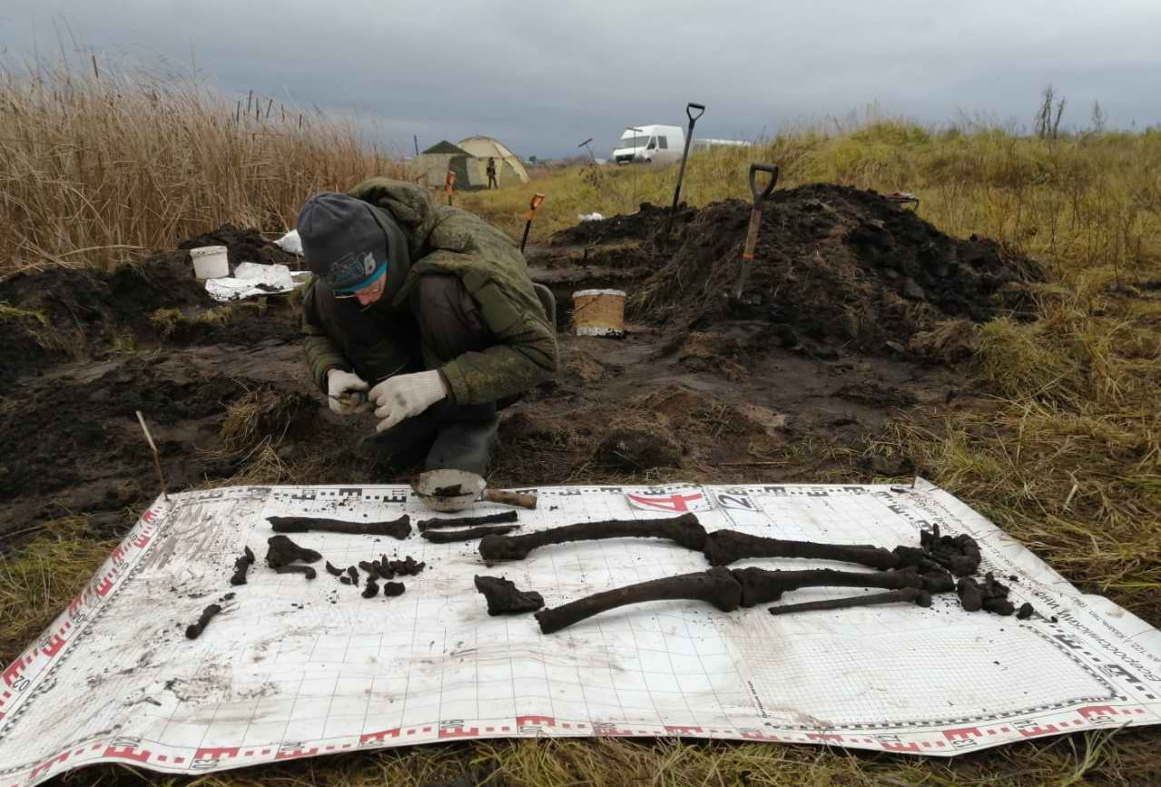    ,      19181921 . . 2022 .