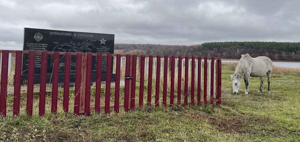    ,      19181921 . . 2022 .