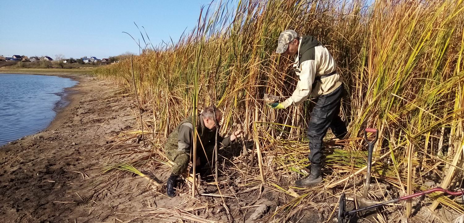    ,      19181921 . . 2023 .