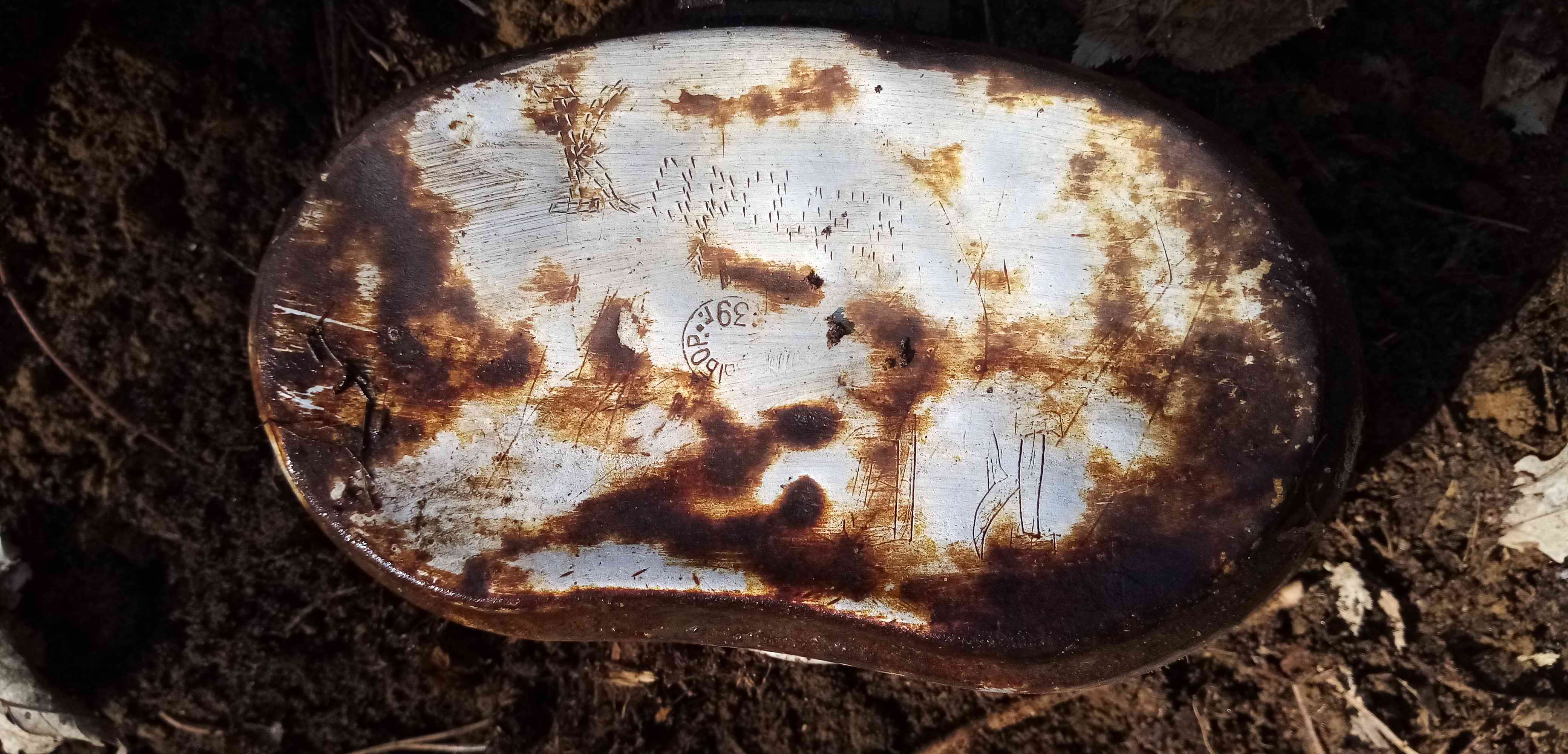 ������������� ����� ������ � ���������� ��������. 2024 �. ���������. ������ ������� ��������.