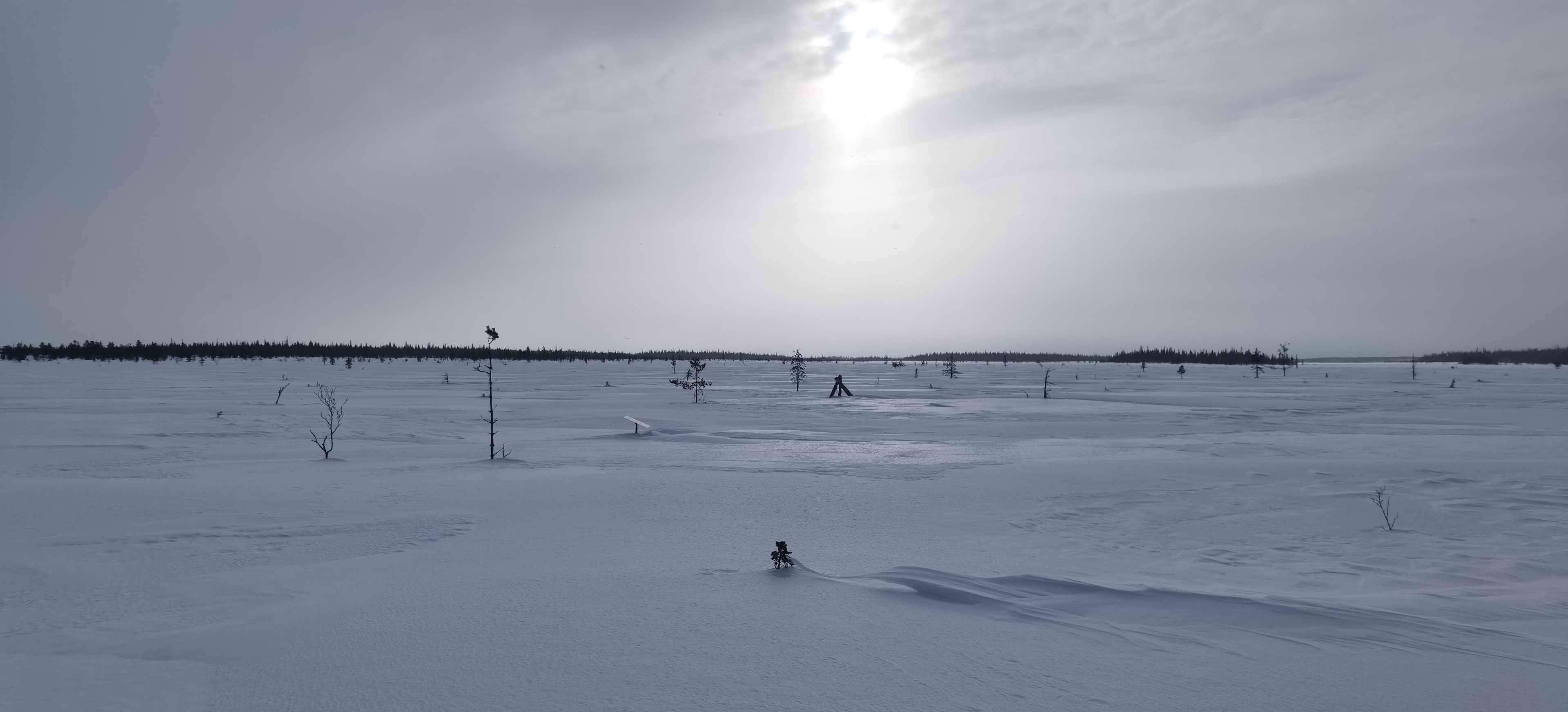 ������� ����������. ���������� � ���������� �������. 2024 �.