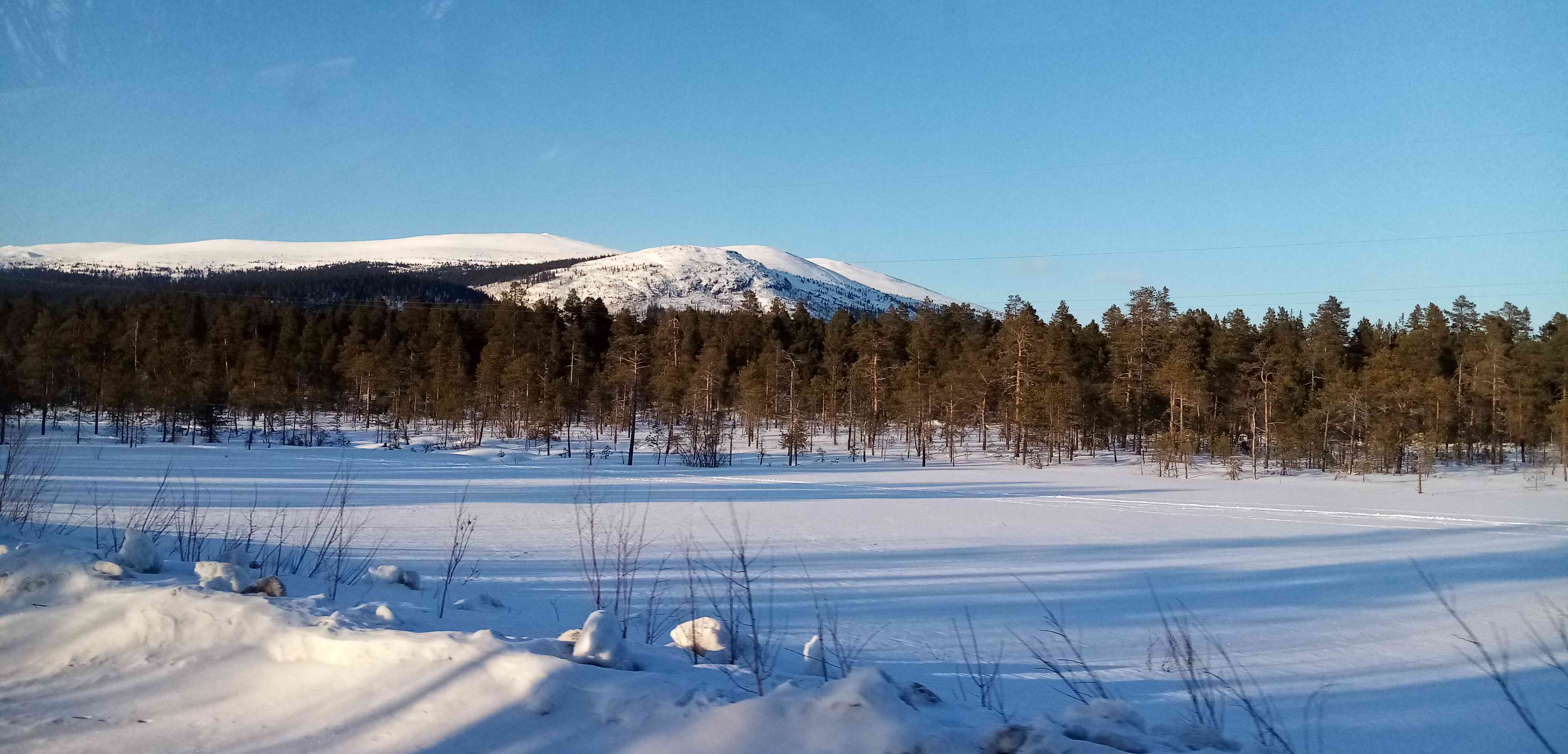 ������� ����������. ���������� � ���������� �������. 2024 �.