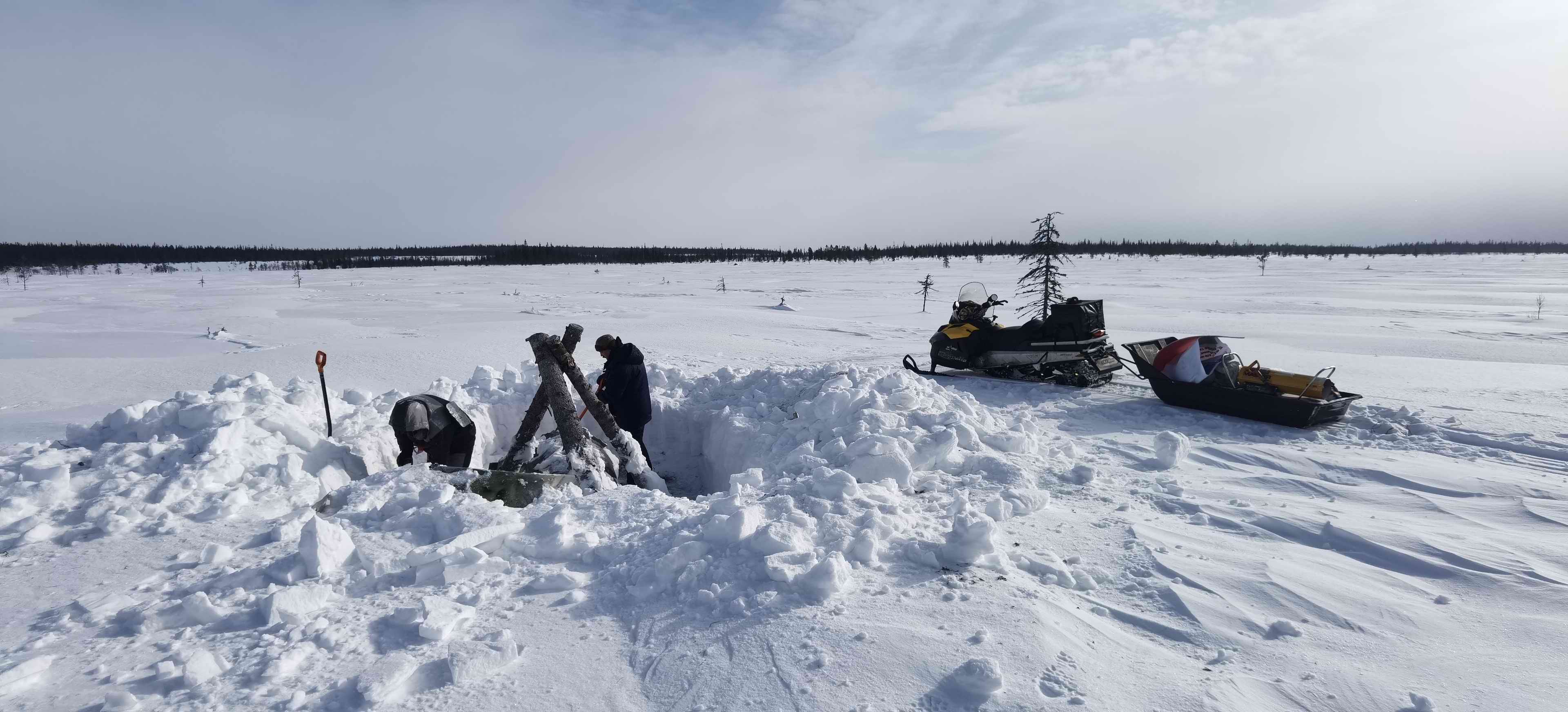 ������� ����������. ���������� � ���������� �������. 2024 �.