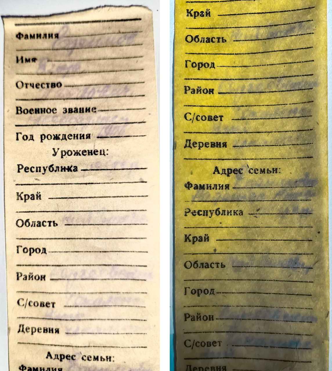 ������ ������ - 2024�. �������� ������� ����� ��������� (���������).