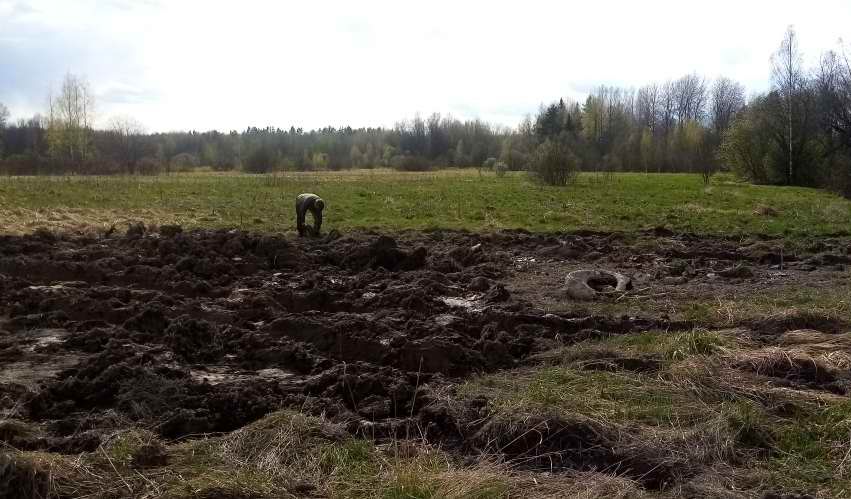 ������� ����������. ���������� � ������������� �������. 2024 �.