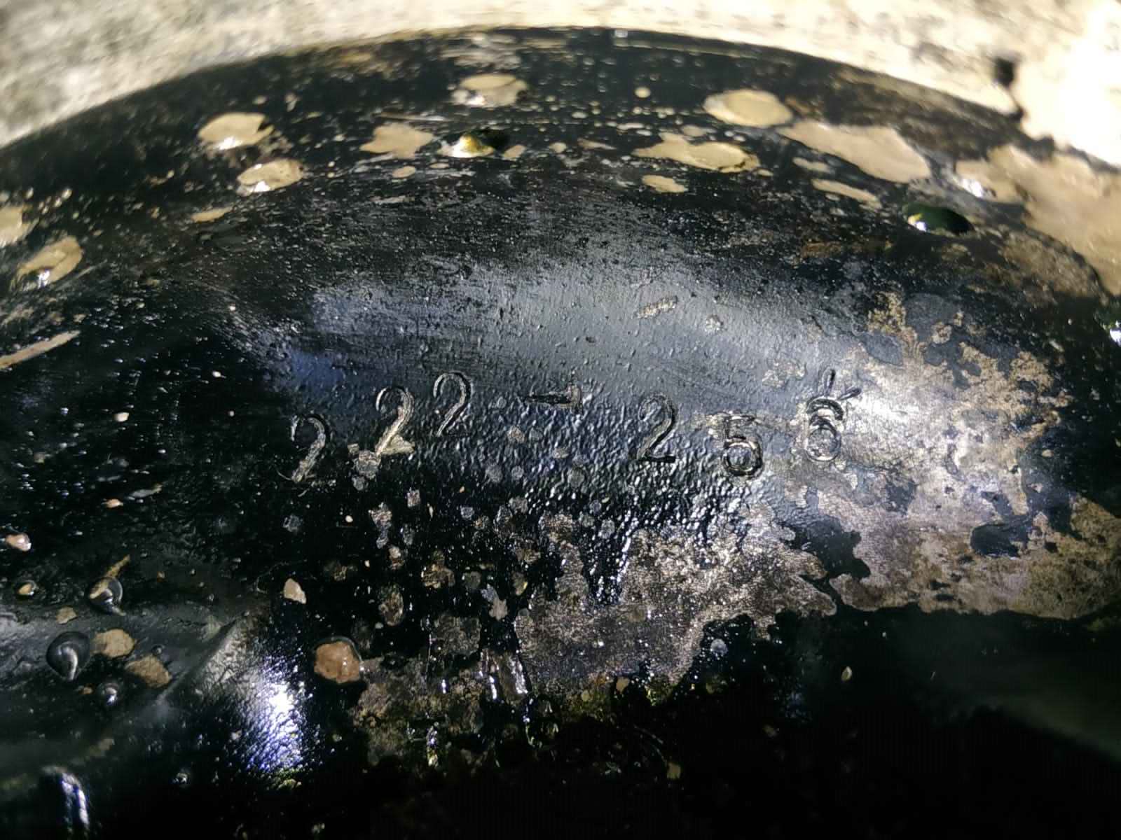 ������� ����������. ���������� � ������������� �������. 2024 �.