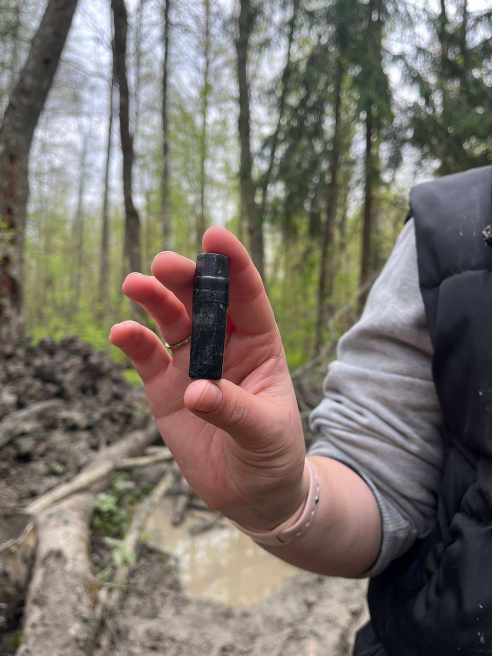 ������ �������������� � ����� ����������� ��� ��������� ����� ������������� �������. ������������ �������. 2024 �.