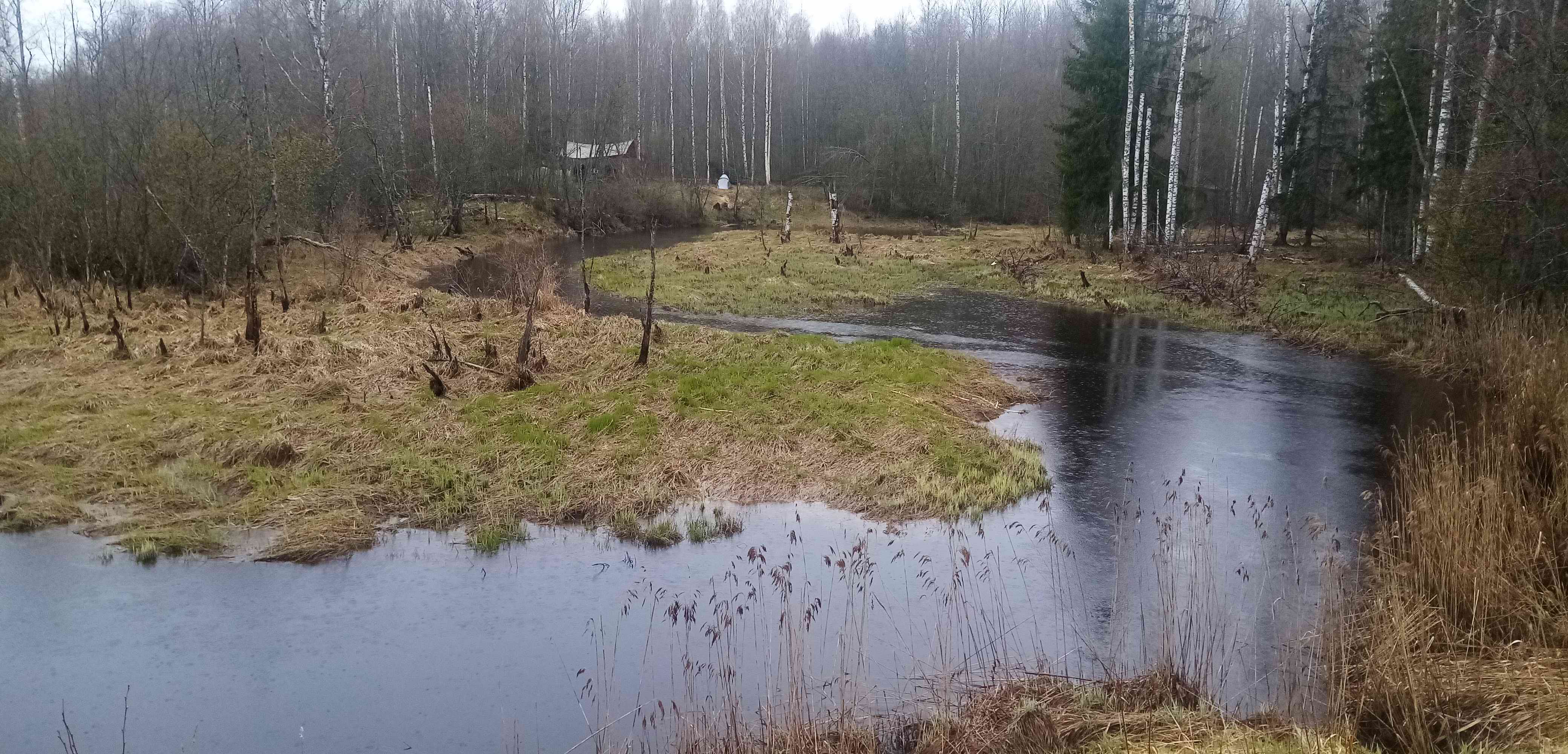 ��� ������. ���� ����������. ���������� ����� ������������� �������. 2024 ����.