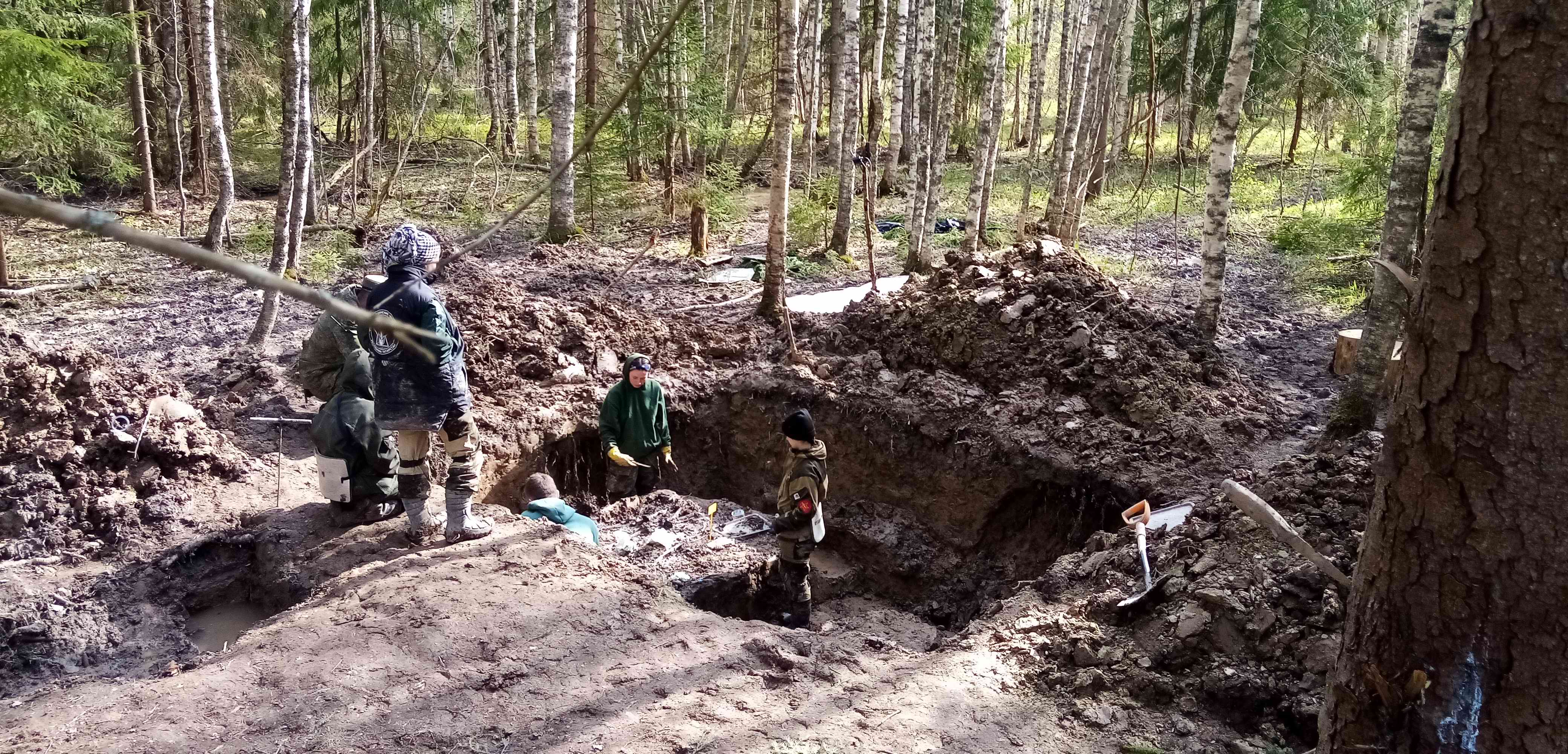 ��� ������. ���������� ����� ������������� �������. 2024 ����.