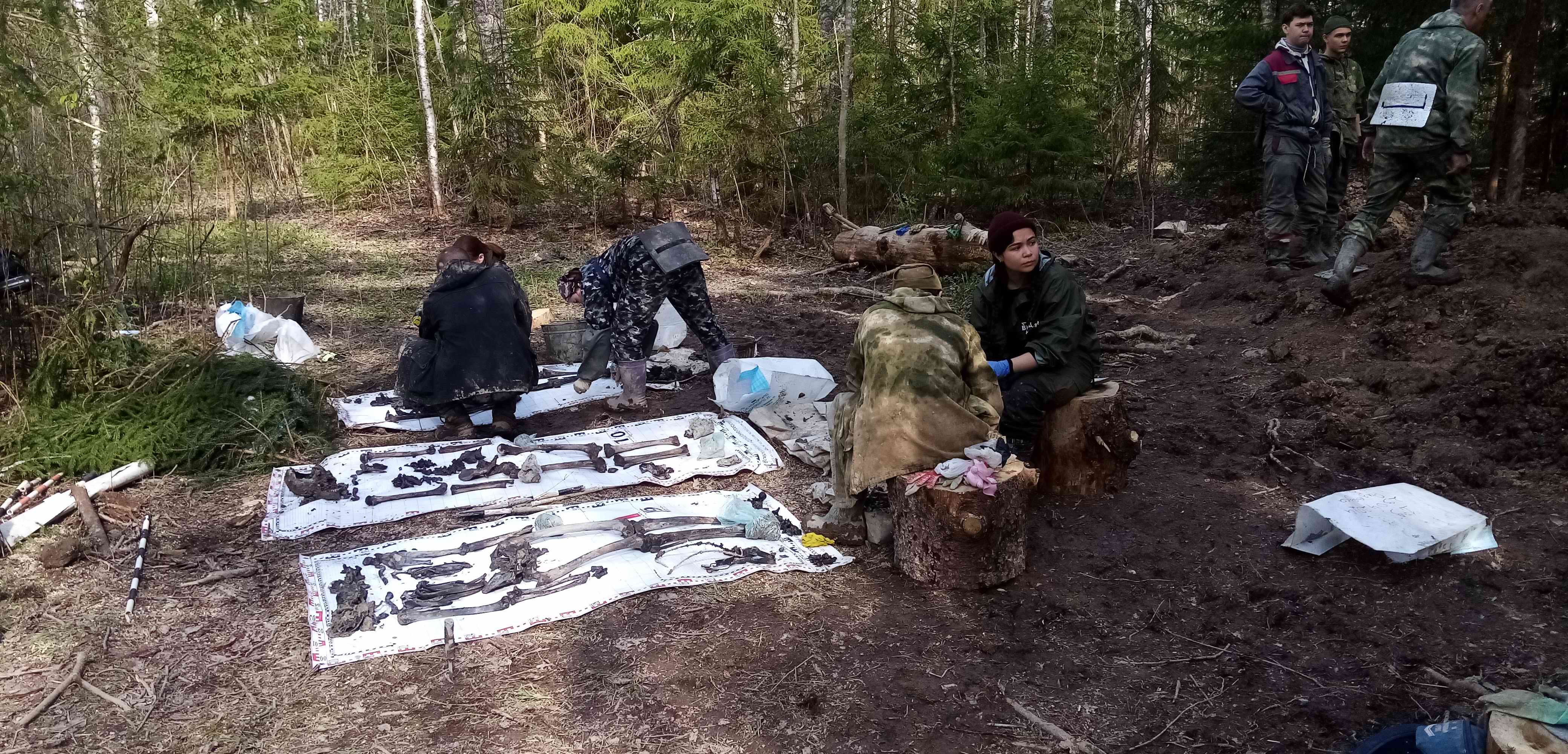 ��� ������. ���������� ����� ������������� �������. 2024 ����.