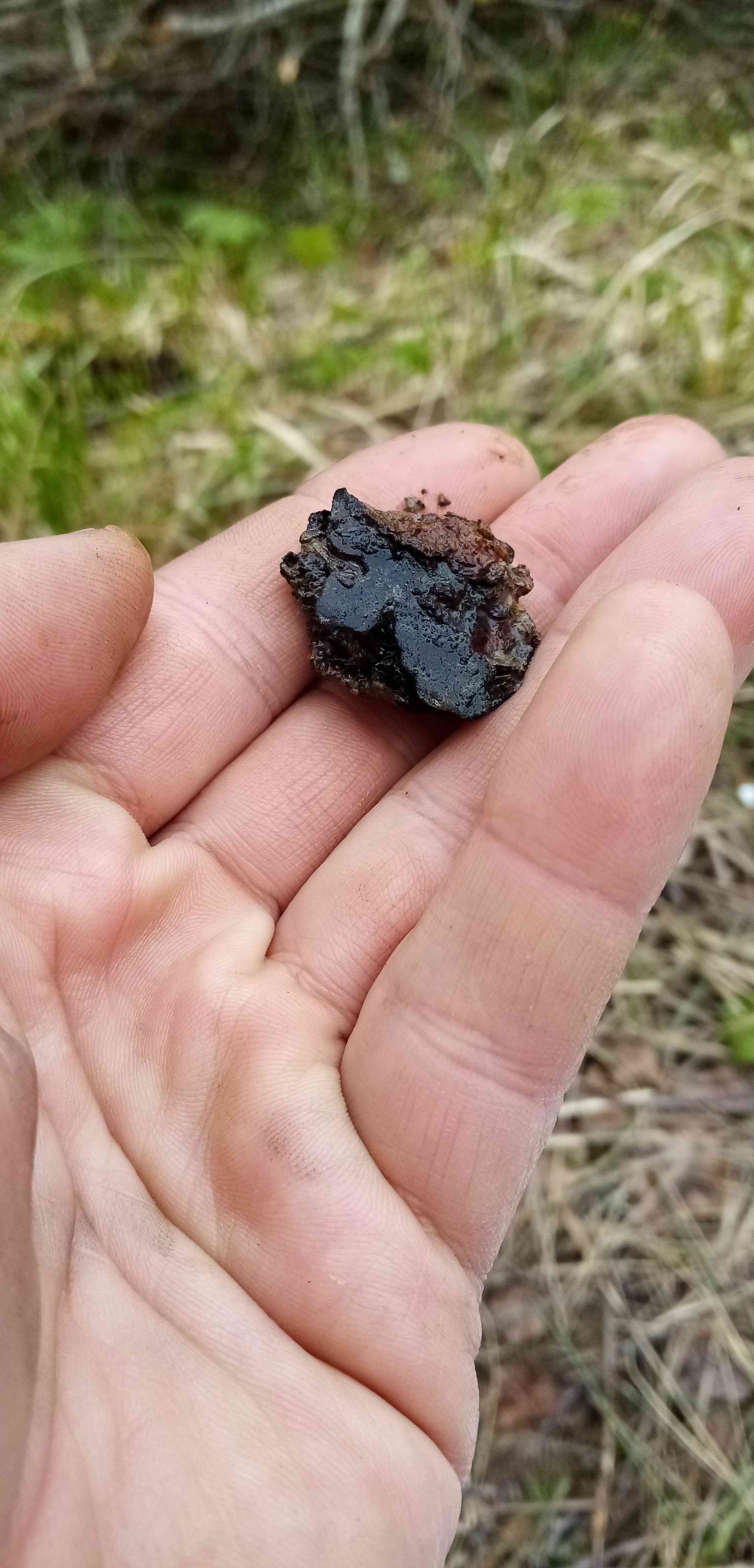 ��� ������. ������� � ���������. ���������� ����� ������������� �������. 2024 ����.