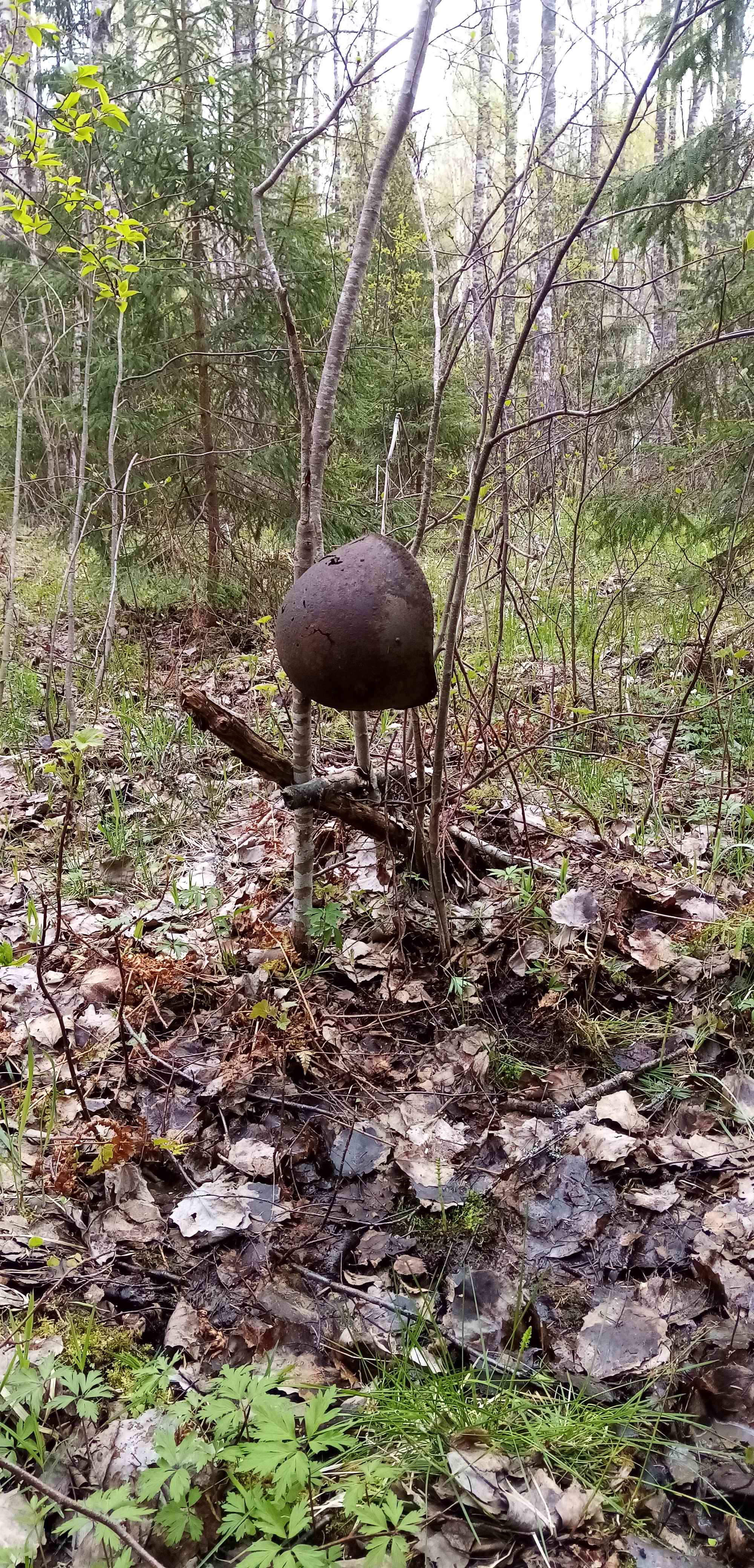 ��� ������. ���������� ����� ������������� �������. 2024 ����.