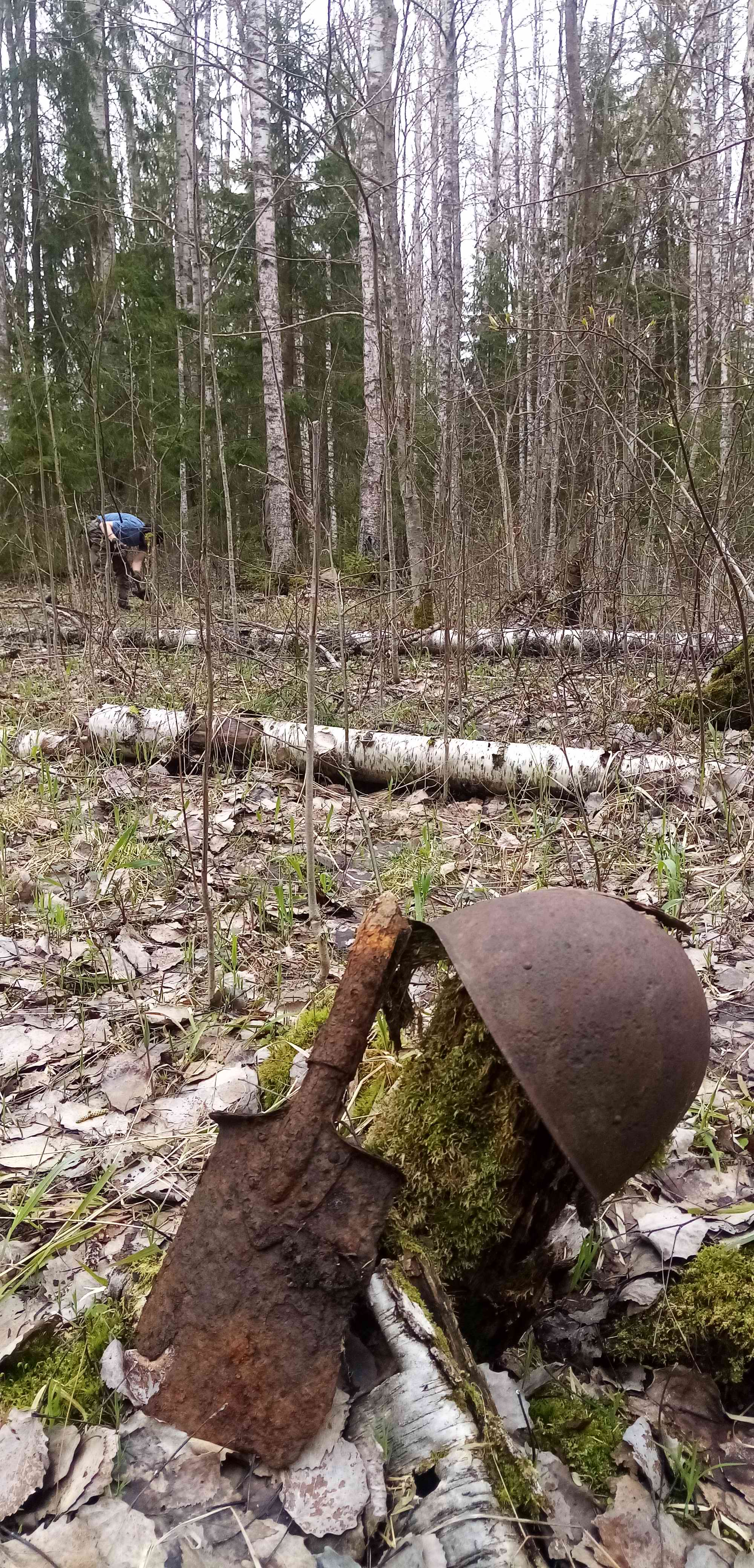 ��� ������. ���������� ����� ������������� �������. 2024 ����.