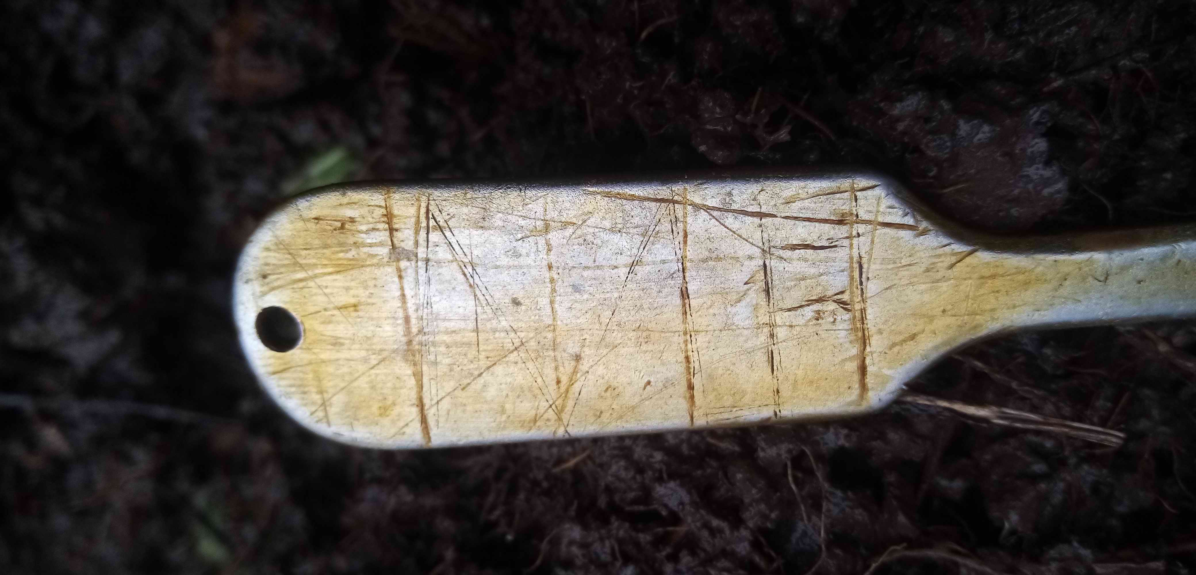 ��� ������. ����� ���. ���������� ����� ������������� �������. 2024 ����.