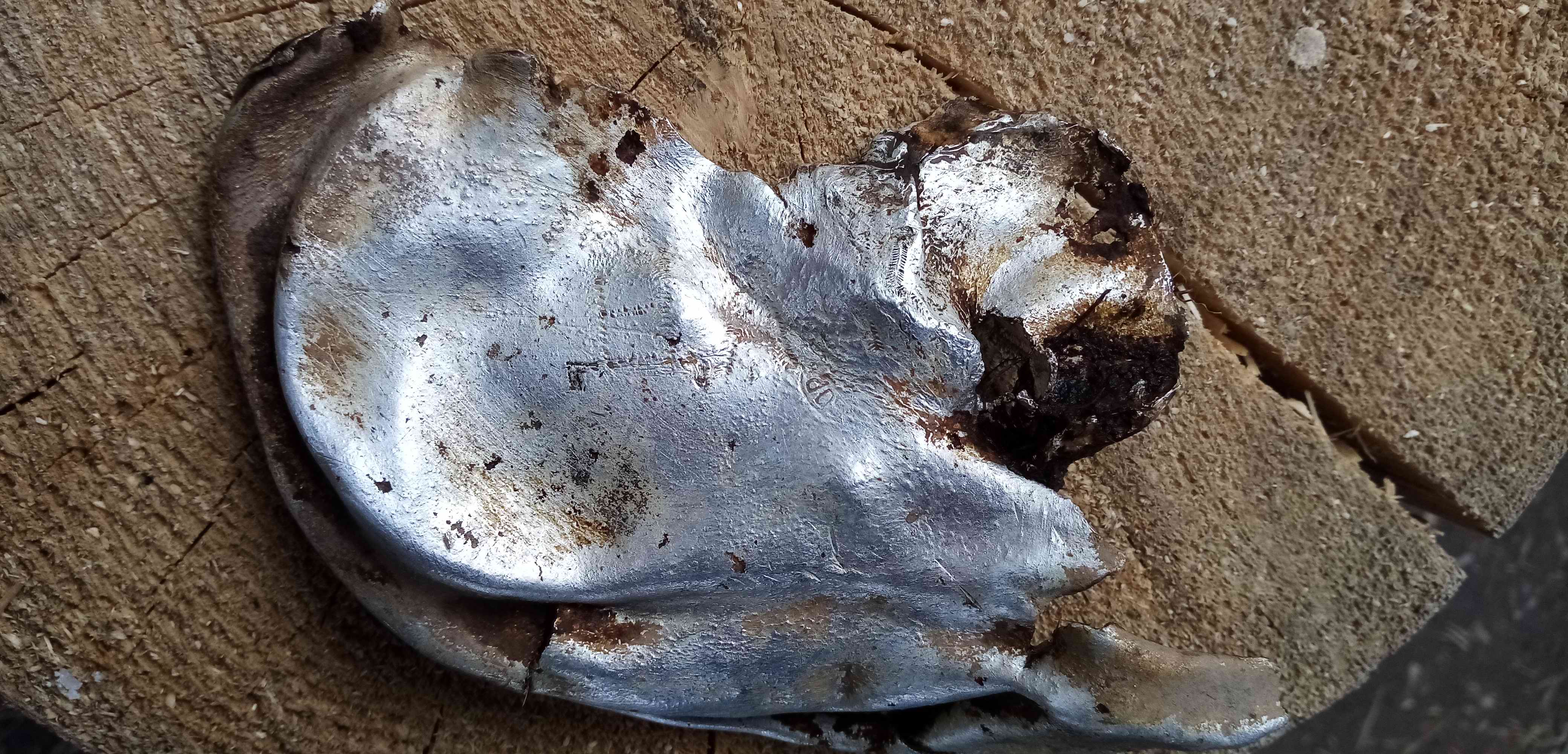 ��� ������. ������ ������� ���. ���������� ����� ������������� �������. 2024 ����.