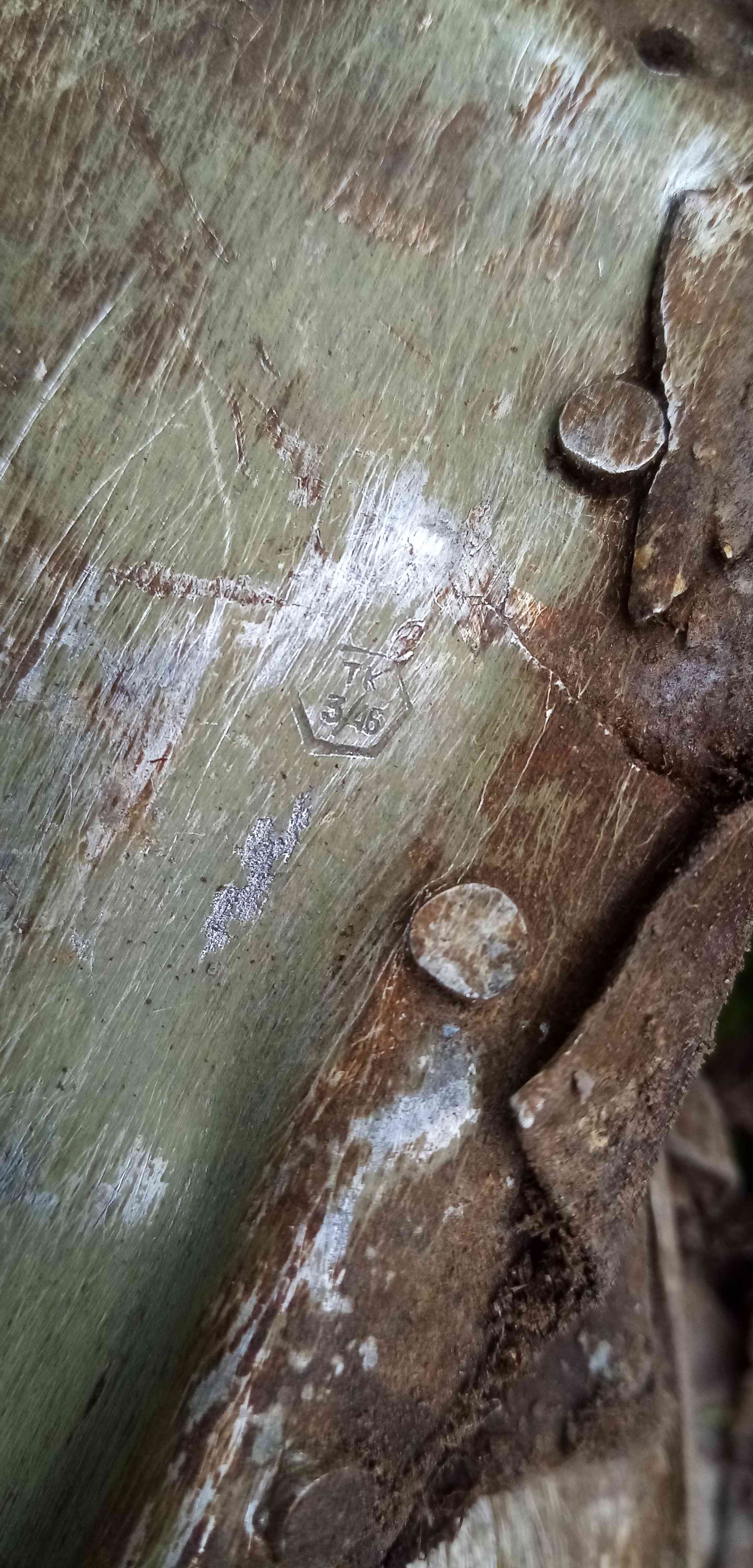 ��� ������. ������� � ��������� �������� ��-2. ������ ������ � 39). ���������� ����� ������������� �������. 2024 ����.