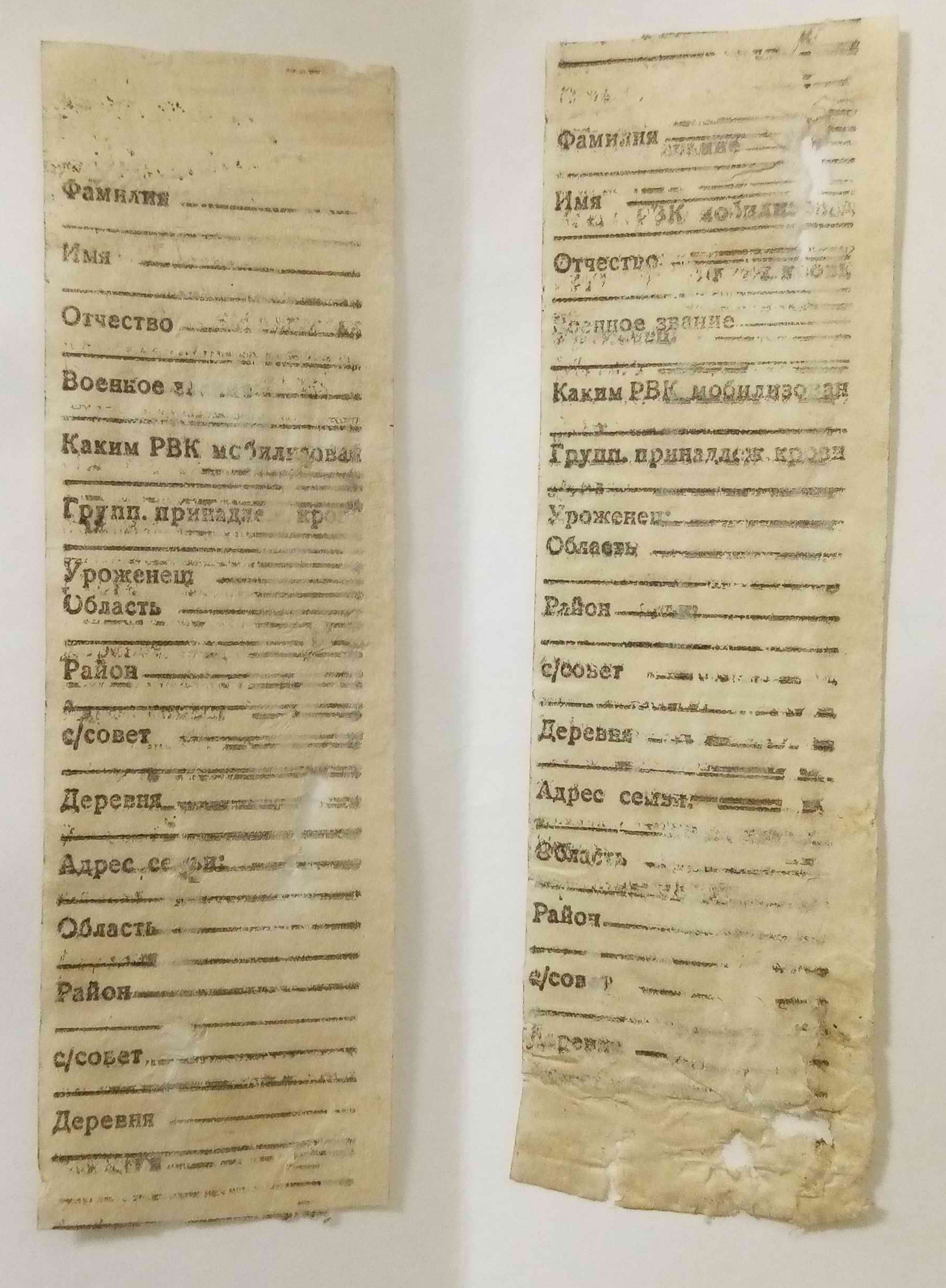 ��� ������. ���������� ����� ������������� �������. 2024 ����.