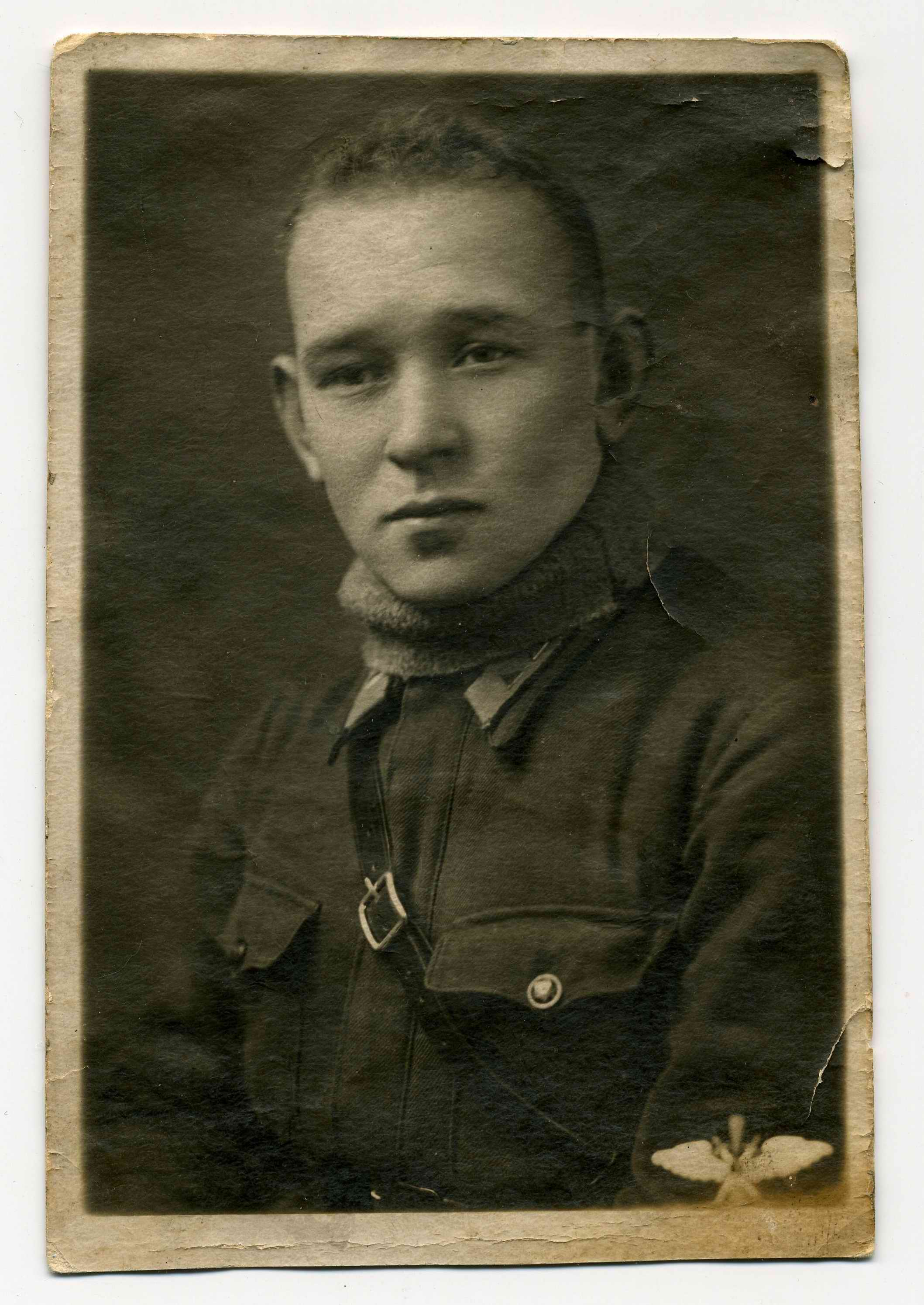 ������� ����������. ���������� � ������������� �������. 2024 �.