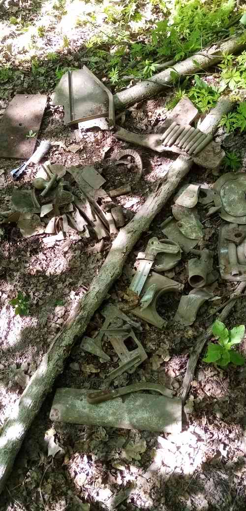 ������� ����������. ���������. 2024 �.