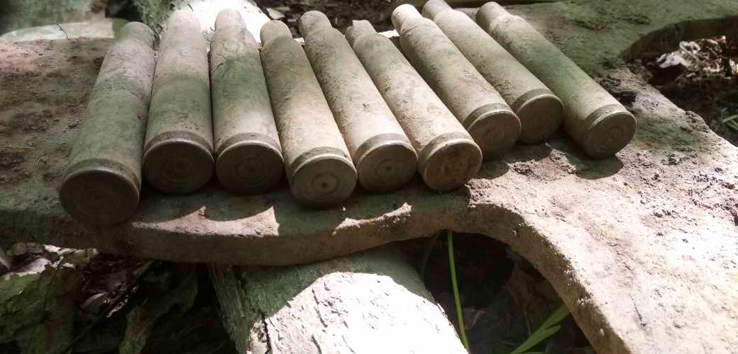 ������� ����������. ���������. 2024 �.