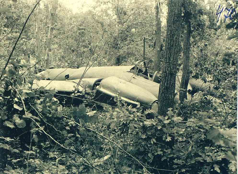 ������� ����������. ����������. ���� ����� ���������� �� ���� �������������. ���������. 2024 �.