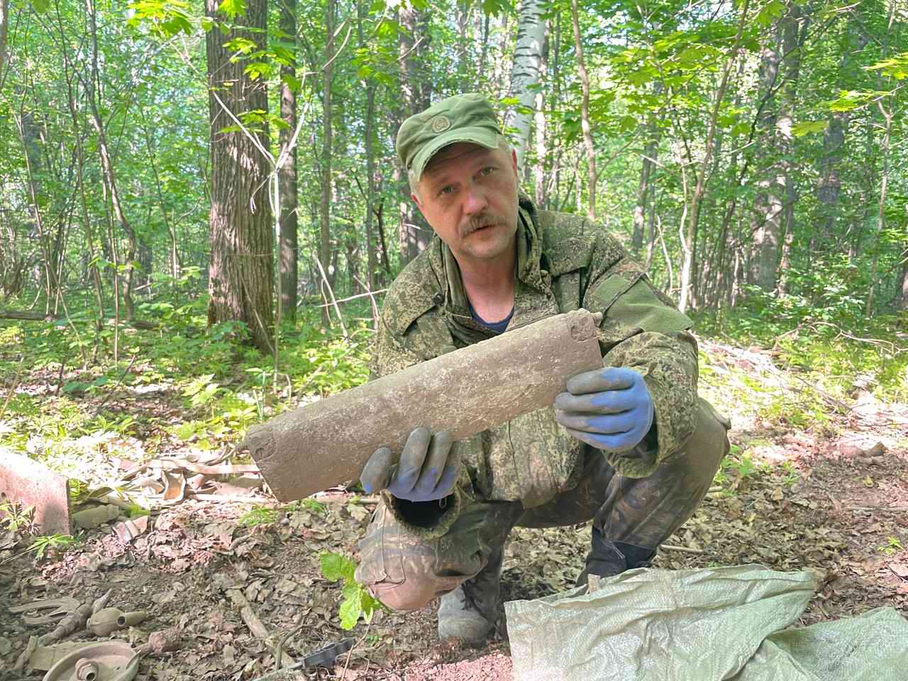 ������� ����������. ���� ����������� ���������. ���������. 2024 �.